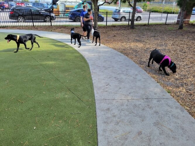 AC9h4nphTm6zTGQF 76zGMKCP3GVQ9vwTm1oFMKVY5f8CTEnpMVqYiLCSBcH5PdfyK5fptw0OY9SYCJelEVdFPdXe4fvZbVoCONvtgFe7VQnLLI1zhyGQvX2ruwtynpgm3kpWVBP3FGKw1600 h1000 k no