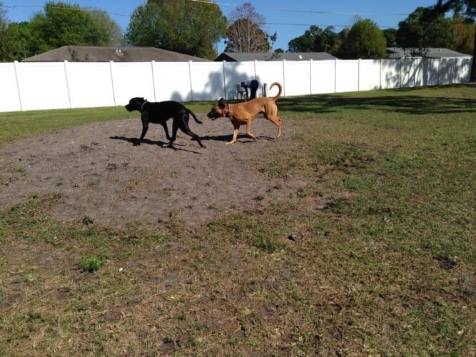 AC9h4nphfEn3SpYOyKQf0zBZf jmmjbQtR PABPNLEayxXgvrxuenxsJ ptKSxoHDgUyYZoPNyF4u61d7fiifMeDefZXGnx K48VugYZYY3z0vKwtPgUIfj9LM5ybAm9XRkuGsDnuFW86gw1600 h1000 k no