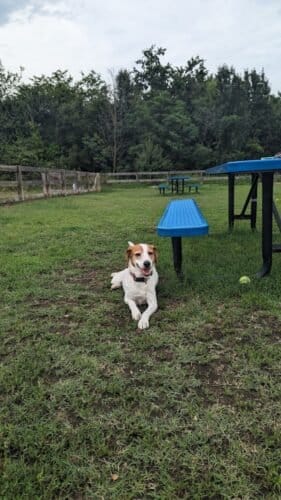 AC9h4nphhgO3f6AnfM7 0R7wjY5j0lKQvVpwYsyYXXyt4WImto0vzdvh WonInr9XviU6HheW9Z vjf3ki 5 X270LVhnQDCZpI ihukmt P7JN85eJfpYTqJmdWmFa5NarlWN3Fn4ow1600 h1000 k no