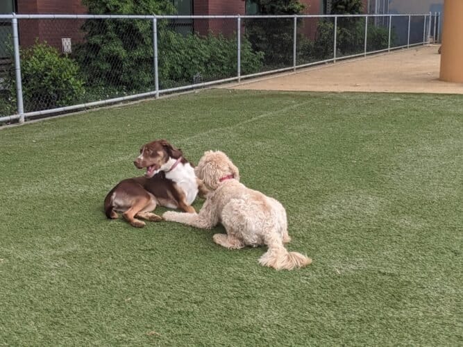 AC9h4nphmYoyWhJ6Cub49CqhPjf0Hx0GnRsnvpIHaslfW6gXXU0zi0sQgKKdUZ5PbH4sHNATUKMMYMsfFZlb3JguSnw6z7MhAPk0zS2cXgw1600 h1000 k no