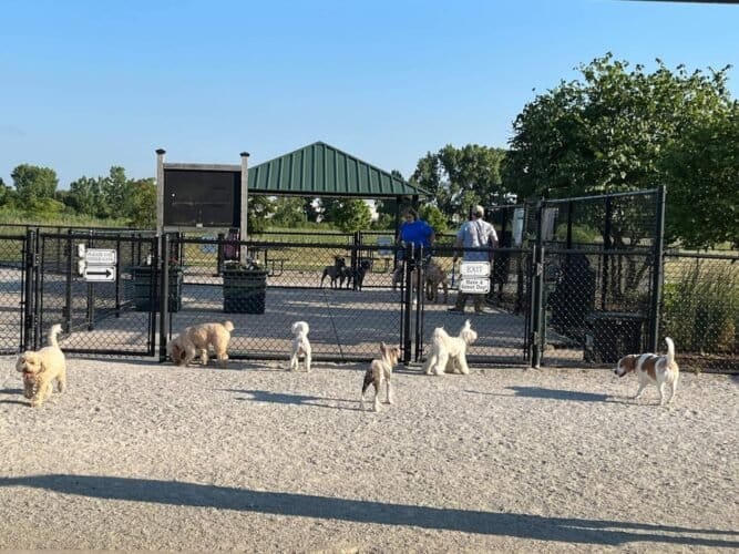 AC9h4nphnik9VCa4uxZFJlUffOHSzUSbPzaZnMAHT7Gf3Jv6fzGvVjcCFFbICZJpOuRxgU9Xvx8urNwGnJcABshcX vOYjbCXIGAVeHkABVFY2qBYdzis9o3j7RhvEdFeJ9SxI3WyAMw1600 h1000 k no