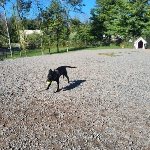 AC9h4nphpyA cuFB1wKj6exjaNVhL2rfjIAXg2qVkqGZOdH1J2zh2MMIXnKprGSaRoOHwidsTCSRnYdxUOVPB2Q4  WhqIy9ReezRzHsFfcq7fZzVMOR0l2UxB4siNi 3gCJnnkMU7yLw1600 h1000 k no