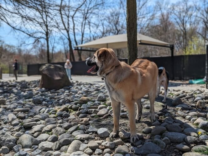 AC9h4nphu olC9XVFbQUvkYPes2aLkMsVGfVyZ1AXRRthU9y IEXPqEv314Uv5MO5RKEqv7BC8w7m 4NUL BwSla EwIkGBtGq8oXR14kGU soK896yEsIauEmQwDeZJHnXjIbd1zz42uQw1600 h1000 k no