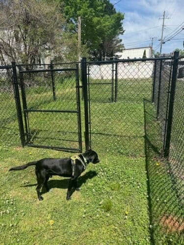 AC9h4nphwkgthZff3fH9y4a6wjofSObWy5DEokpZv5TDkLEauu1QkqLzevsSfigrhvXJK8YGkkIzykaTrQrJLEL3nweV UYjh5J0cQfw t71mPwC HhecXccdiOkkyl5zs4yzYh4QGbVww1600 h1000 k no