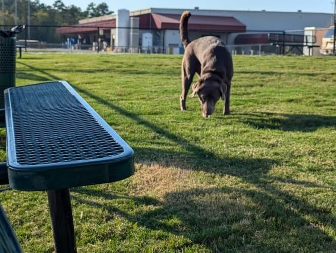 AC9h4nphx74eL0oXKcRC q5EWui8HhL48tEoD A5XZKX49 jMuuOo8yGEwwYFsfZnwQSDZSxTHF4a3LHXgpsqUrKzOnlNwrnfoV hLNX6EkBy w6K2t xdQIeNbRaQ99OnT H5pIwPhhNAw1600 h1000 k no