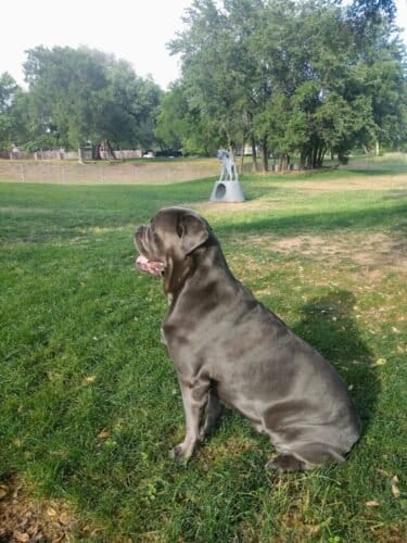 AC9h4npi7nFSiFyyNO5A7tG56 lImJs4OO7LFoW3utpgLzFtHGZ8vvoNOximCpUlacABsi B9aiZrRDAOu CBoZpi7GXvKip4tQrOriOTh7JiEmPtB7Sio QQyWlOKjEFK5o8FtTKWsUtww1600 h1000 k no