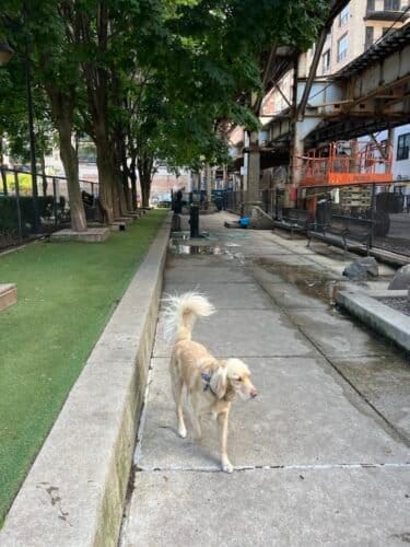 AC9h4npiAsWc9nsPQ0RnI3QH6RCpJxIkaIe5fXEtxmJfMAY6TqAGN8KKvrAPG4n91NG0q3BciI8LQyGf7MF63CWDiBy1 mhQMy r3k1d4QDGg2NHCpAe  BV7RVchAfJixl3dLul5fi7O6 G88Uw1600 h1000 k no