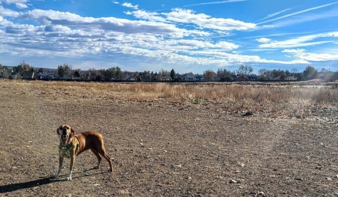 AC9h4npiKJ7chDpH4QbDTpNbSc2XzJx ye1v7bHxzLUcX4wY0n8NGHS VagSutBVMQQK69aXtkEb2rmKPg 5QijH 6O1BypYOqZm0KBsmGvLkNlcn8wJt44hAHuA4 3LEePIuaD3cdew1600 h1000 k no