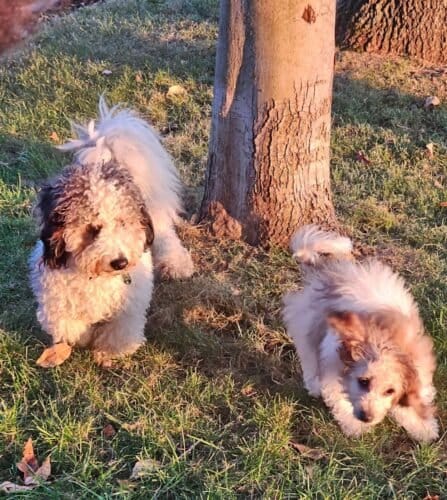 AC9h4npiMxzbHEqUGTWcEMiA7SyNB419mK3gIe rvGIPTcW W9B2jgMIkwviuBjtH7tS5zJEhGkTWfwriK4kUPq6RpJt8ObN119zyt VJfoTLKgnr3q6cChITm1rreP16LhdY5IbUXf5w1600 h1000 k no