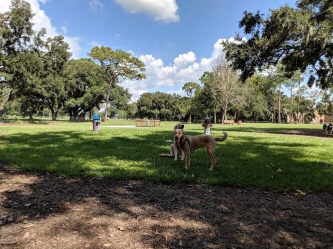 AC9h4npiPPjWTI75izpoOKxPI7uRTFNAvrP3b YxkDepXhKlCKjOZDbicikrfIvl09Zl9V5bRuXXqJeKttS pO3dN V k9qDkrLtH fzShwqj9msrYdeyuNOb5RybTwprGCNXJKTFbMw1600 h1000 k no