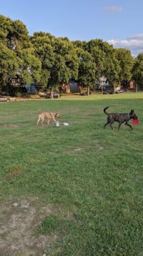 AC9h4npidDvUc37s4X8hBsAl25I89nOsK mhQPCNgTXDxfryN8CfxdtyhL3NHlKqIJ8mHAo MCrZPAMmtcu62HMsdsr2mD73OFr3ZmAqLOU0F1UrZy9gMixYSqfaH0g0Jhs9XeCMQ3QpkQw1600 h1000 k no