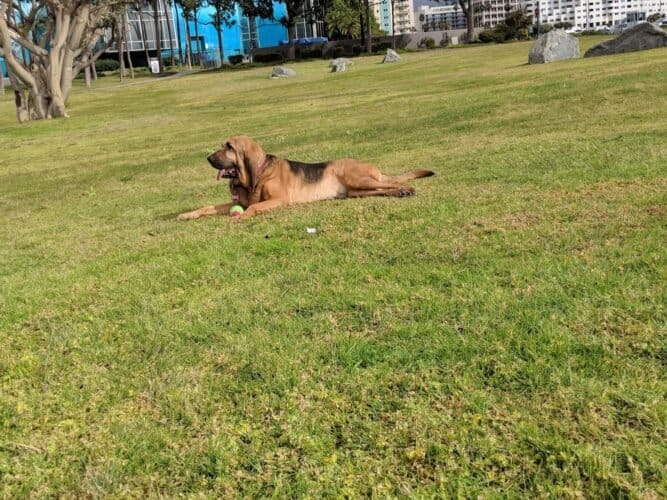 AC9h4npigRLj 2Y5dbU4BYoeJBQ1m3FjWTYPQoWh7OhdrjTkgxGGwUfAHo2RFSbylutYie5vPnJVuZJMxLt3KbZbdmmE 3J8Hp46UssOsAw1600 h1000 k no