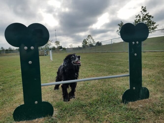 AC9h4npijrTzuR5Ah4 CR9H9ac0 qSERIxMvNDXhZVV 14GGpBz3T5SpqGvQ3D T5Zrz 9VX1AGOCuDN UxGbhCIqCdDPztYIZ706sC2 b CsYMCX4sAEUQ3TN6eR5gbCxiYJ5RYlA0w1600 h1000 k no