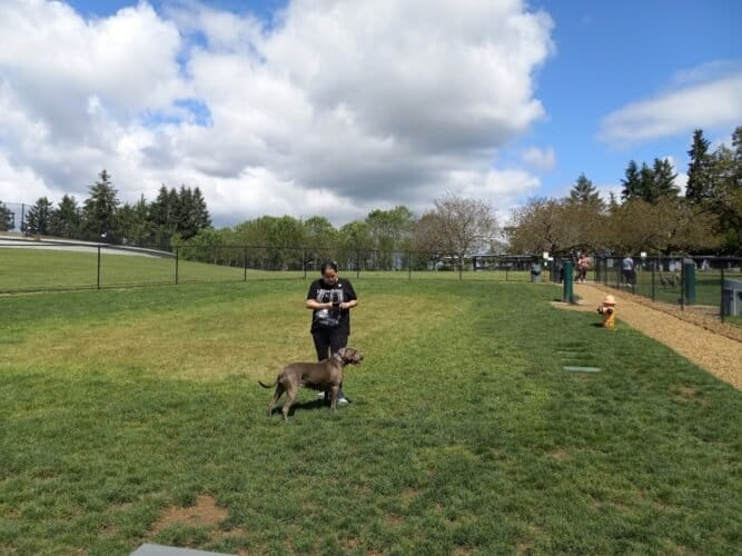 AC9h4npj1YBHLa17WbLr Tf ONmyMmcEADQ4yIlDTduXCoy eWiswwsDZ8DoYxhlzZkoJTRClKNUgWwqW4c6R7if5H8XuvTCeZomBKJySOkCprkk6PpnP6L gZ4Lm0xlGVgGJek t3Mzw1600 h1000 k no