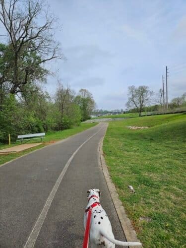 AC9h4npjOmbTEudorOl0i42s2NwUuUbMeigpMAnf18 fRCWQ nlmczcYzIuCbkqyE1VTEI9G6gcWqjeLX8I5IXtUDyWVGlav0X3y JoCUQI4twLCwgY037Dwwh maHTQv0xjF sd4ZvOw1600 h1000 k no