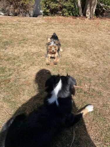 AC9h4npjRzZ8nKPU1psyuze6N69viBiSgj1GdUNXv1J3MPvlciSdB CdZA4 ivpRsCX0QnbDrP8hmXLGWuImxW1rhj30 HwSoVFyfHxkq 17IBodoVYXIdVGyfsfrKBjhMhlGfkwOiiCgw1600 h1000 k no