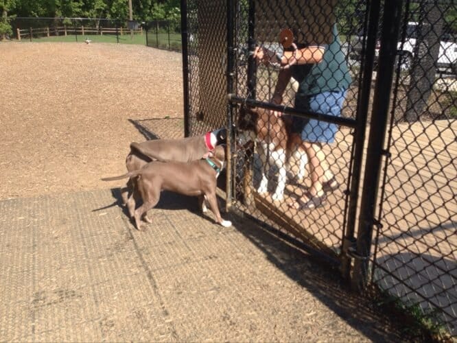 AC9h4npj M8WqQeUMEVTlD6I18L9zIaJ6pEfPCdPJNduotIE0N3bhrAX51GYpzqULaAnu5n13vB0CaYE4OqGWr7 SMJvr2BQtxUMYdjXeww1600 h1000 k no