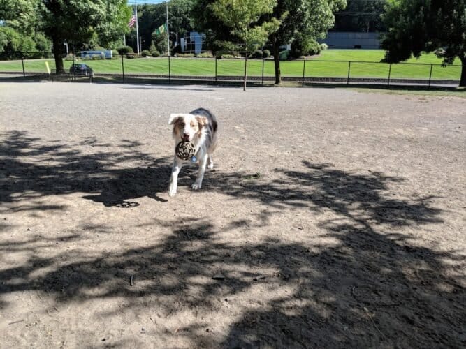 AC9h4npju8a8EqWbBjBaR43mmKL0jx9pdJxzh31LWUAnzXphQi9p9X17LJNTf50tdF6xFLWZS50JqEHTed I1GtyT IL0eiHh2odZABnMAgPKsXja1YWefzCkA79PlqpKAu8Y9tLmybBgw1600 h1000 k no