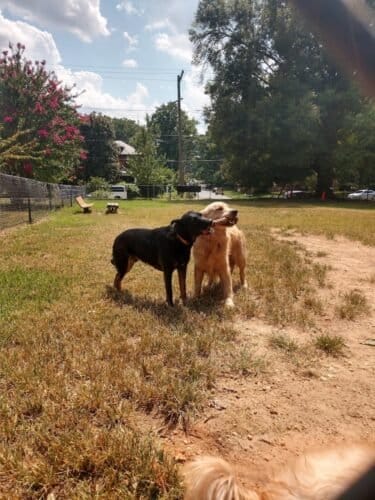 AC9h4npk3f2HsLTvrWeNfwHlyJydE2sgMeJlXksRxag4Tz1CAVsX15JOX foI7Lai1FKH2y1ovPQt4p9eL ZlJlKSkYyN4HFhqT4c06uF2hrG6wM5sx2soQPZ9kOrBHT0OU3KT0nC MPtww1600 h1000 k no