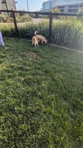 AC9h4npk8a1WUVninVJoElHgrUWWNixgqjkq3 GiSkttVv dNWQyfRnJBW0SIkB08s14vR 2dKlaN2zy N3LmTDypt2OQ5pAfd5qBpfoo5DsKJG95YDmW44FxVNKEQ6EG7pIziQzkk5kw1600 h1000 k no