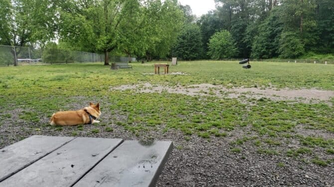 AC9h4npkCK2GnTppJdgQywwau3SU0HH7zaPkYDkgBrpudlBCtA8Zwm J8nZhJUeO1 qUu6exTj0BwR kBt86S6LAqmv 2Go70JjC4NUXxTuZdk0SRWGsXvgFGNtpfeddxmr0vq2X0HMw1600 h1000 k no