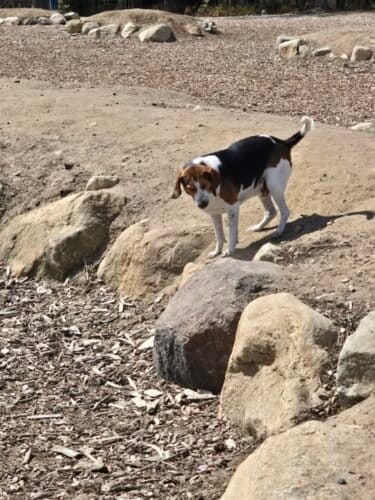 AC9h4npkHt5B1ZelF6wUkRV5ZFwblWd8Uh6JfDhJE cavxrCNnyJK0DwhFF7NldV14aZnLZU 1qMPC8LmlUMCzx8NB81dN3N4hGaVwTDTpqAEnUa2FVAEszAh9cT64KuXYBIbhObe25w1600 h1000 k no