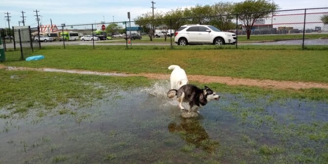 AC9h4npkXfuqBoyHXcnas rtsaSAocDKCbECAo9sqQI4N t15Zx5OrXOCngErTUIPw DM16pIFJmzv09U0YWvZxuKf2tQqMrgY6Bl2E JmxjBgjcN87xi7cpr9NfSnKgKHZ8M2WnHiSow1600 h1000 k no