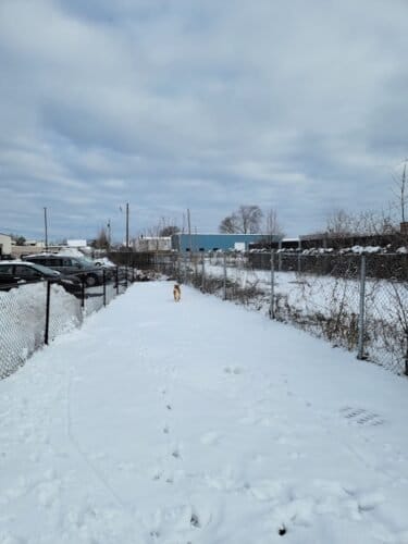 AC9h4nplBDnv B3y BU546mYWrnVtuJuHS55sxvhJV3MrUyEh3oRqFuE7AAFLOt9dZiTKWsTkwiI3EDYa4iPZXPa IHE1Wksfoex635 pbs9u3c4y39DrITnHmUJn HXNoPmrGKfzF7g8gw1600 h1000 k no