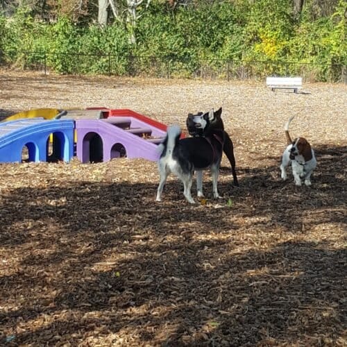 AC9h4nplHLB9NHKxNwxH N0 IrDlzmGB2AlDSgZqzdxtKm4LSBS2yfcsKvlyUynlg0 Ss5x75Y 8HysGBZ7gXXUAx8pgaZskx93vxtp4Z1OWSk8JMFZ3WVMva6jK60peeUm4pUANh76Vw1600 h1000 k no