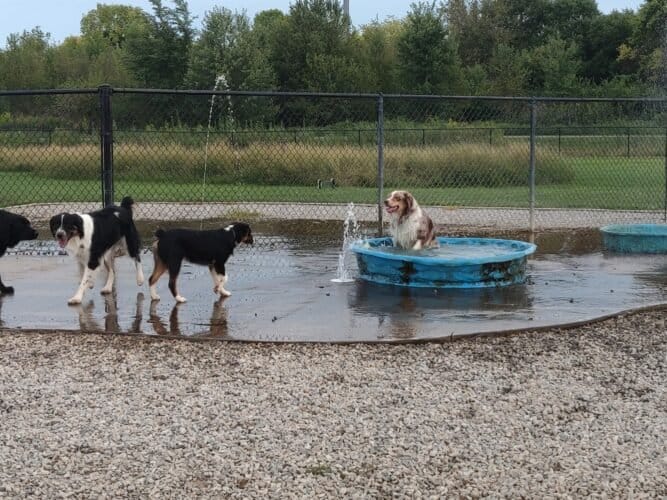 AC9h4nplHXcUVsQ0MwrJ9BiLR3xfUd KY6en6eEdm3ix8XnFROtsC0jJ 6MJic7G4gyx7s YFlED lYC9dxbjt 2V6dx0sN 6zadKteBmpmv4YvCl6TyLOyuZPNi6b64Y7 faJi6RmxOEww1600 h1000 k no