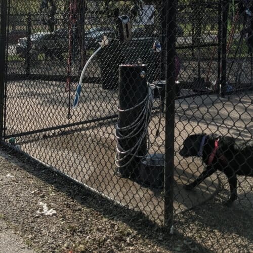 AC9h4nplM O2U1eT0Y7Qx8 btD boJw4l6XRfssxDVrhqKlZkNQLzKFpgwNDSDwB7 NFF7bqSzJQ1vy9DGOwTsjNP0JGShM50oZ6nL7sg6hVkrhkJFFgRJIkZBxrVguI YA FuA8 gow1600 h1000 k no