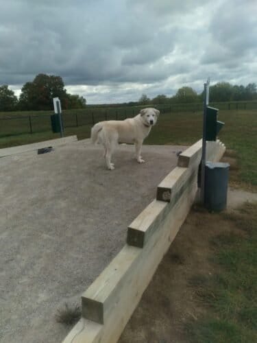 AC9h4nplNKTD8WDK4RPzD4Vmmhldu sSa C6WZiw QmjgJpxgXZ05CxdjJc6A9w8P7kQcc9vFpWr4UEyNk frG860wdOrKtWj88bIMzA Qw1600 h1000 k no