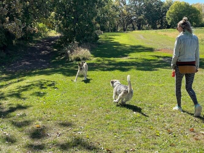 AC9h4nplR CGyeeGLAhRrkhROyW3bmC1CUtUsHzIjUbq a5 ML0M5ec3mzADP PqzKXQqOy8vyeQqcL8cJ1 iHX2DU5g2Kv94Veqob TVAw1600 h1000 k no