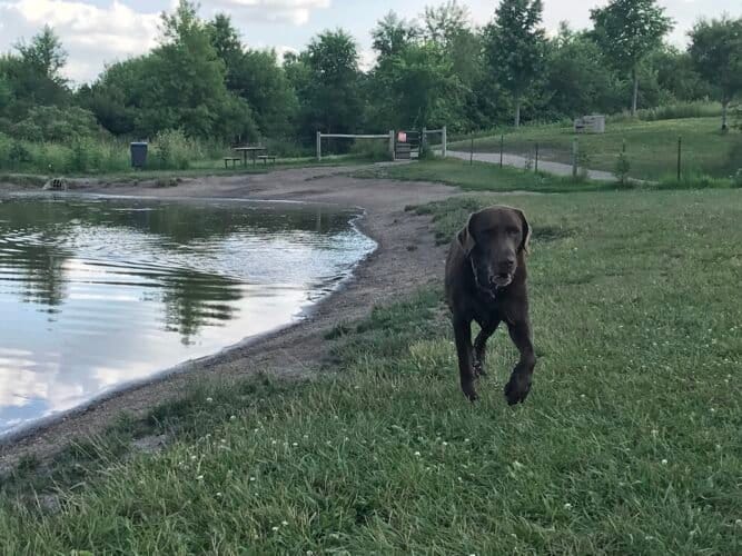 AC9h4nplcVN 6cr 7be0u2sJ r5ud9Q11pROHwG24aSJO6E5Fnm45eTEgG4dZevMv9pan5PI43HVg4iCJa6mTMulETcJp6XeH6Z DUjTp2rI kDLISDgx8 u178gin6JJQQ255y8fB3x Aw1600 h1000 k no