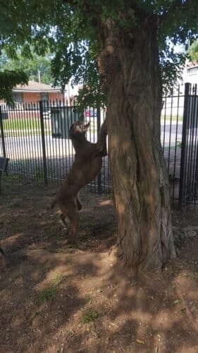 AC9h4npledHQ2KHRyjkspW8HC0DM6sv8ucQK1ETY3K0FMjy8wAUYzjkc DxxP5 R5NqTnyJdzjhhWRJ7Q0fddbDu7C0 plvsP8ZNrWXfQO8CtitAZc4B6CX1CH72E92 nVcNeeDJhAow1600 h1000 k no