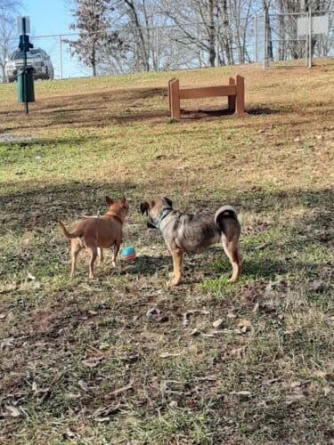 AC9h4nplfFHwtwERHGiwPhgTtRPQKggDbafvDtJpzbk5kO6X9fhRP4xSvK1eBMvN4R8zo JzQaOJfl ayHKL3IR3ecS4YJpCKsMq nh 74jsaM9xsnr0XoD r VtooNRNRdTgNcZ0 y7w1600 h1000 k no