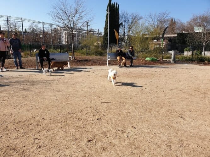 AC9h4nplkG1nRd4z IoZwGN5Q715oLoJGa c9fPWS9Z3QjiVCGiDiEFT9rDi3NOkrESCrtTDNKOsI 9Xf6gMSqLXHrMSyK u7OkICQ 33UmReMSKWZr8yBWDxb5rJz8k5dwSNgXmFkMdw1600 h1000 k no