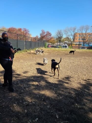 AC9h4nplr0PmF7mmzso3aoxoLBYrLu7Ol ydhkwkZBovXMcxe832w8OHjy7vb0v35zjgOIL6koNMBLjcBy0ApE69siFqiZC1GUzZshs7ocRLio6JOc K8gr0WjYO3KfSuK59t4LT OYp9ww1600 h1000 k no