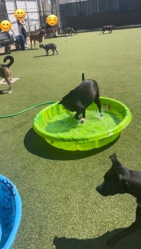 AC9h4nplwXOXXkgWPw0QCxh4AaXXeS0RCPz7ZsA4dR 3kH1Ro04lAIxhVbI77rwSyp ZRv8fWz5PFBrPhH imUJBtbP2DaNddIYsIgkA7x4ihmaAf ssGsabb8zWMmKX1fHVt7Ry pq w1600 h1000 k no