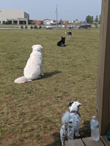 AC9h4npmFfx0aEJovekkoOQaDJZPQ8lCYbNQZgFpg3BJah4ifSoSsVqS IqNy57NeoyaCxfMgeYPMsUP0GjLCSyTbQGnEEoFkIyG7hhBOEnuUXJXhyjHn4IS6azAYncAuKZcwjcsQY5jw1600 h1000 k no