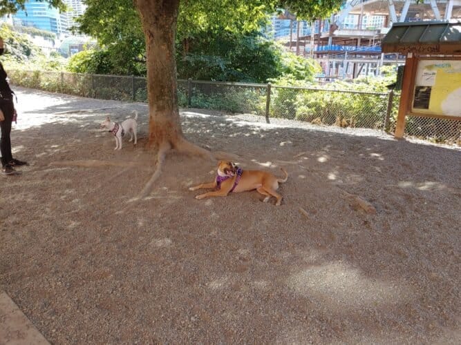 AC9h4npmIdpFjJcdv4oSLmr9S8O0RDIcf8F7Cvm8EFqsFNDIyQUZqT wMl0rwDUJ7DGI3oMmUcZsbi cM0JhW6ivTWr0Xnlg8m3JC2MojQ4w1600 h1000 k no