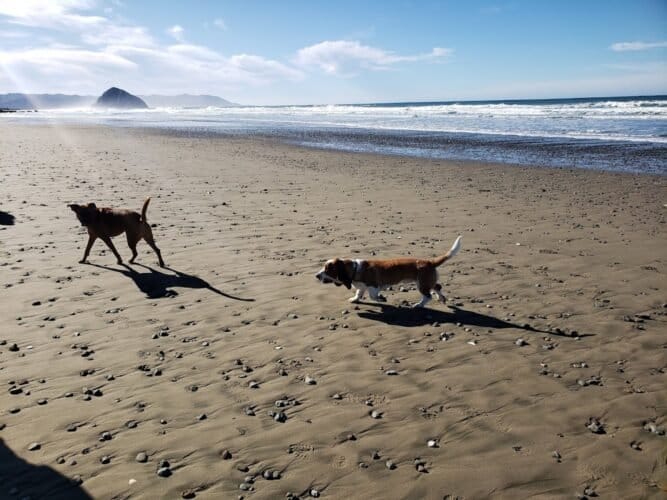 AC9h4npn0kOD1pbgHZMVYyb ROfsHtfL9mYqqqkgNgfI8b3 1x9jeB8sGf90EhP6TNJsSjorTo2eyRqKOFezjTh6qrDbRQ7v3Cw2Vp DjSQuxwFRLFqipHHeLTp3LUEQGKUaAJd9tVXPkQw1600 h1000 k no