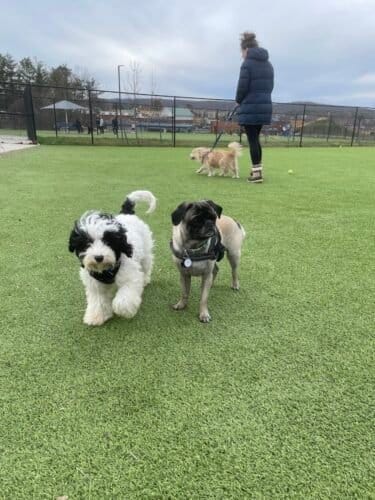 AC9h4npn3VEwSZ0 tNgqrpEhASRYMMgRfZbqyvJm2t38ksxL59 BiY8bNF 4iYu4FxfpaTFcgSHxtIv7PfULm9b bE RDPimC5xckHJlK18lqPSTdTkPJH WEDMk1kZdSFRW8F56rDmww1600 h1000 k no