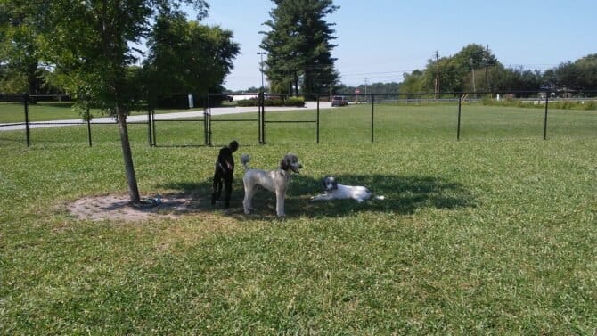 AC9h4npn4aOkXqzz3b8KU2TeCESJKpEkAb 5xy382YIoGMIpwXnYmpHmFTm lPyNmxE8QFJiIvrFqrYWugDvgOYzMHdhB7m6uzRWzPncFgw1600 h1000 k no