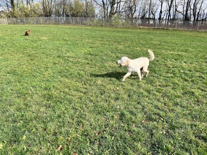 AC9h4npnA76gc cpcksQ06cvwQpr2ewH a3gkcUL6nbMB82ofh3VmthbN3i4EP4b4frrZuji0F7g GElVHP5 cnnapv1Y sjhicxpXZ4 bYty iLcyfU4 xuGGKgeJeLwA7  QbpVqFyw1600 h1000 k no