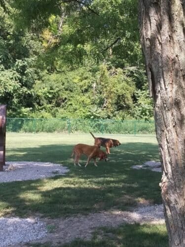 AC9h4npnPqKtrJ t9jX2qg36uohVpzymGp1SgtIt ZkTsX2rZBUNIC5VshIWILHBULW9AwSn iQtYtimcAfGTEFq2GrCqjKOtkLzlxzFqz1wtXb7O7bt8iptRSVXrwPwuvdlKdLxOeRCw1600 h1000 k no