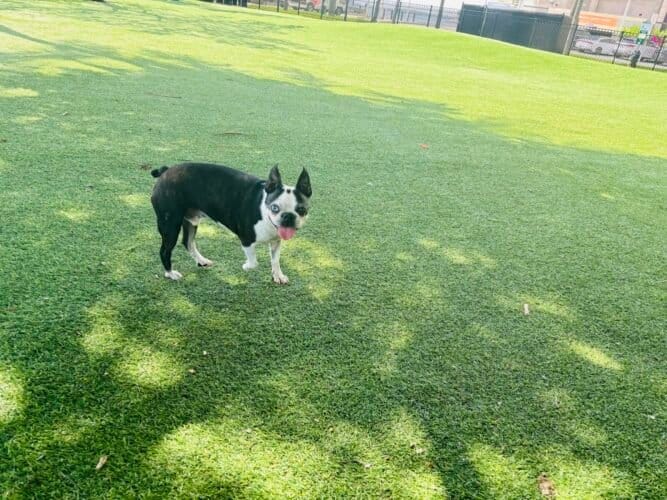 AC9h4npnSvcjfGyH60HgZ hGNlF4FdnjscY7IZeRPcZlL2 ZSmcpxZy3lEYKzj3zuYvXtoFQz70 quN2vho ID70M3k4HWDrjqr jcLPKLavajVGkNYSAwPiSLQGLZSFBngzhSEhBpQAw1600 h1000 k no