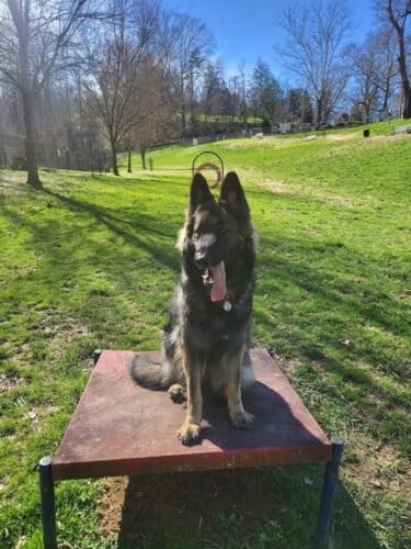 AC9h4npnUQQl2GCpzMkhKq92Pawhjx4X4h 3pThuXt6M2IirP76NjWMiBTSdSCFPxg5 r1JuY15Vupzy473HP8v805AI2XgWm5voyK7FRYTGxJcMP8fXPBecNqN0glodtVjc9l hj5sTw1600 h1000 k no