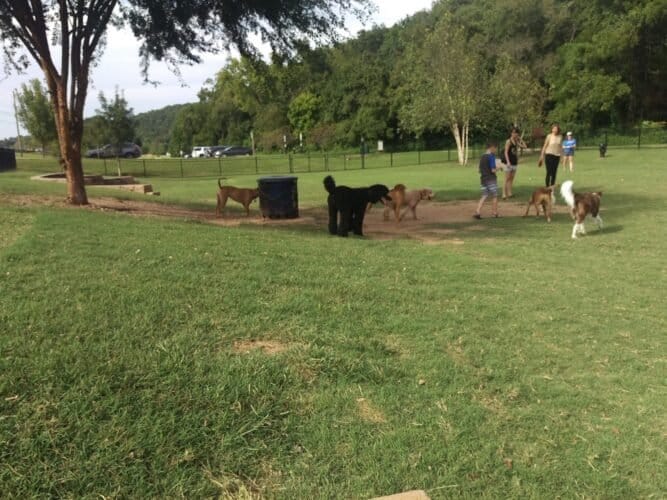 AC9h4npnXffSydvWPuWnZTcEhacW0xLVIJJ25N8Ly gu5xMMUsIRbKLjWHzGHts8Tqxo0KMHXSKc5PH3sUsF2sHsxLHXtfHz9CF63LgrDAw1600 h1000 k no