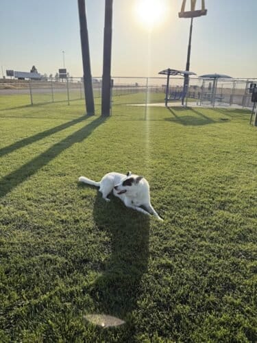 AC9h4npnlP1LZe8m0z16Avmq7skGXIVzepJS9S Fvnt DO u7n0BqRak7Ql6ZPX0AmaZlTzFkf8A08wDy5Diu5 85l3M XYzjxWd4wmT7hgBjDrPLKU0 UD8435FRg9G5q2bJs BJuVlw1600 h1000 k no